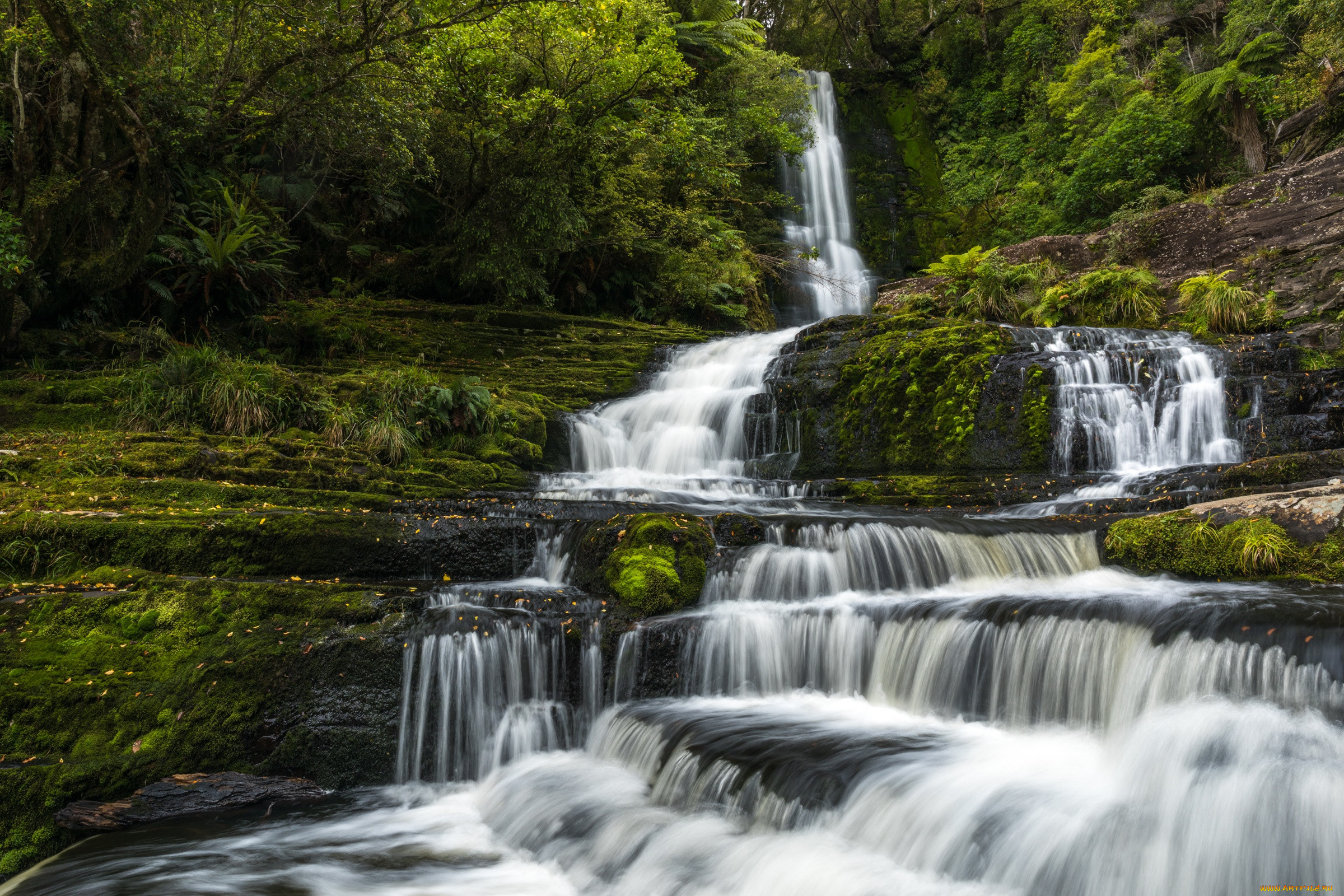 , , , , , , , , new, zealand, tautuku, river, , , , mclean, falls